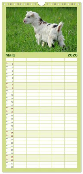 Produktbild: Familienplaner 2026 - Wer zickt denn da? Mit Ziegen durchs Jahr mit 5 Spalten (Wandkalender, 21 x 45 cm) CALVENDO