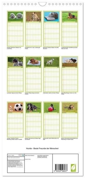 Produktbild: Familienplaner 2026 - Hunde - Beste Freunde der Menschen mit 5 Spalten (Wandkalender, 21 x 45 cm) CALVENDO
