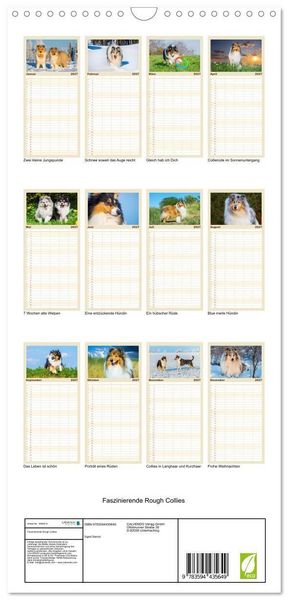 Produktbild: Familienplaner 2027 - Faszinierende Rough Collies mit 5 Spalten (Wandkalender, 21 x 45 cm) CALVENDO