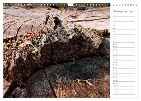 Produktbild: Abstrakte Umwelt (Wandkalender 2026 DIN A3 quer), CALVENDO Monatskalender