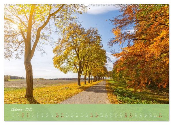 Produktbild: Waldwelten (Wandkalender 2026 DIN A2 quer), CALVENDO Monatskalender