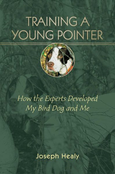Produktbild: Training a Young Pointer