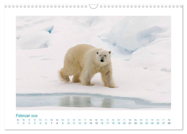 Produktbild: Spitzbergen - Landschaft - Eis - Tierwelt (Wandkalender 2026 DIN A3 quer), CALVENDO Monatskalender