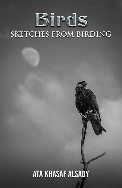 Produktbild: Birds