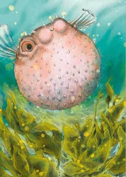 Produktbild: Wunderwelt der Tiere im Meer - Gelesen von Jakob Graf