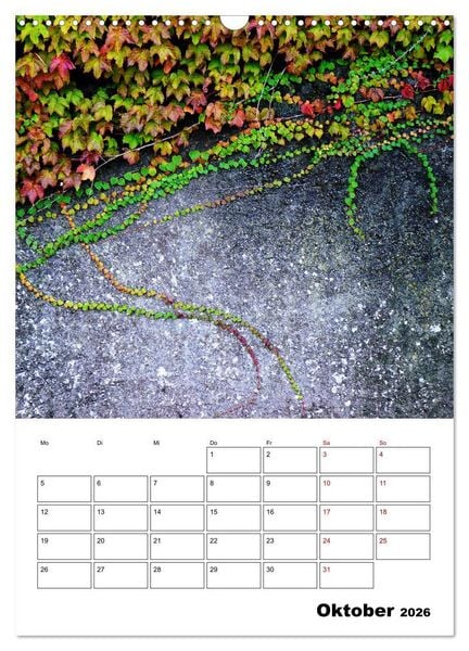 Produktbild: Mauerbl&uuml;mchen - Poesie im Allt&auml;glichen als Monatsplaner (Wandkalender 2026 DIN A3 hoch), CALVENDO Monatskalender