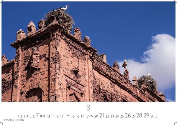 Produktbild: St&ouml;rche Kalender 2027 &ndash; Wandkalender | Fotokalender Tierkalender 35x50cm Grosses Format - Inspirierende Storch-Motive f&uuml;r Natur- und Tierkalenderliebhaber.