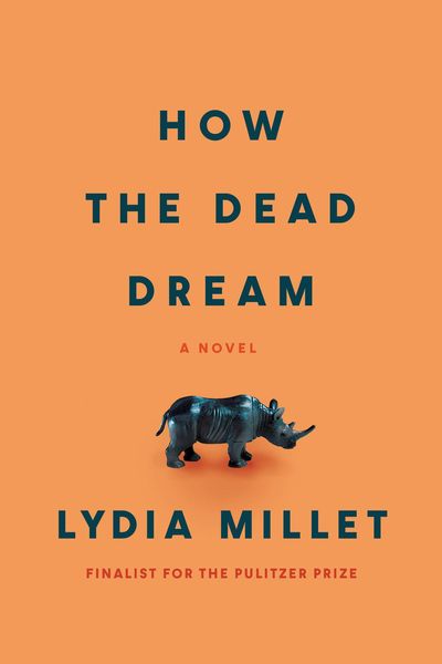 Produktbild: How the Dead Dream