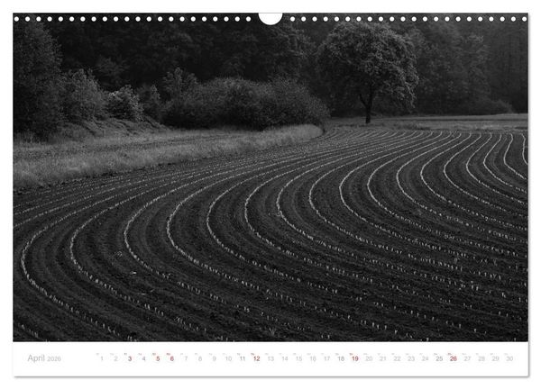 Produktbild: Mystischer Schwarzwald (Wandkalender 2026 DIN A3 quer), CALVENDO Monatskalender