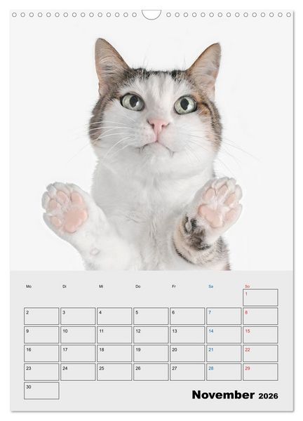 Produktbild: Crazy Catz. (Wandkalender 2026 DIN A3 hoch), CALVENDO Monatskalender