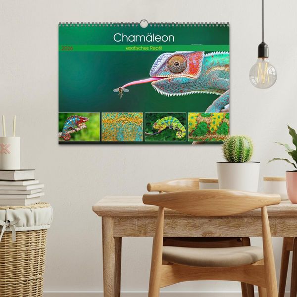 Produktbild: Cham&auml;leon - exotisches Reptil (Wandkalender 2026 DIN A3 quer), CALVENDO Monatskalender