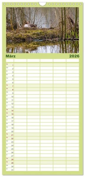 Produktbild: Familienplaner 2026 - Graug&auml;nse in heimischer Umgebung mit 5 Spalten (Wandkalender, 21 x 45 cm) CALVENDO