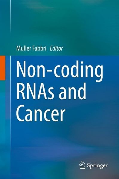 Produktbild: Non-coding RNAs and Cancer