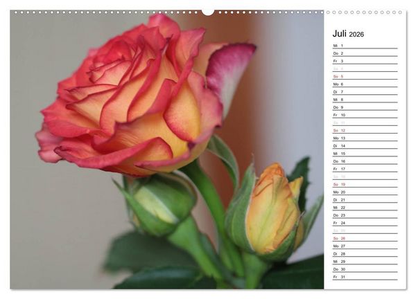 Produktbild: Zauberhafte Rosen (Wandkalender 2026 DIN A2 quer), CALVENDO Monatskalender