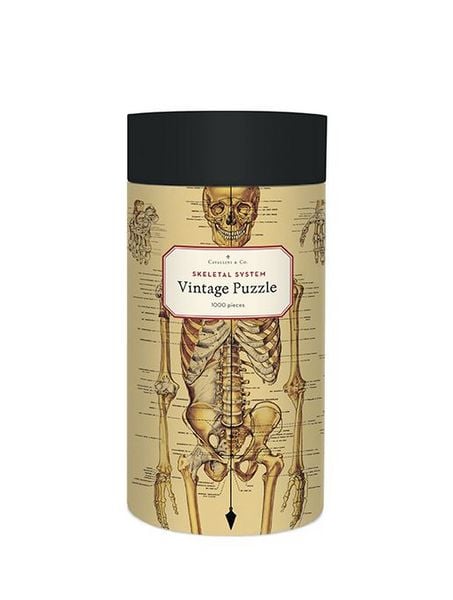Produktbild: Anatomie Puzzle 1000 Teile