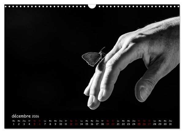 Produktbild: La nature pr&egrave;s de chez vous (Calendrier mural 2026 DIN A3 vertical), CALVENDO calendrier mensuel