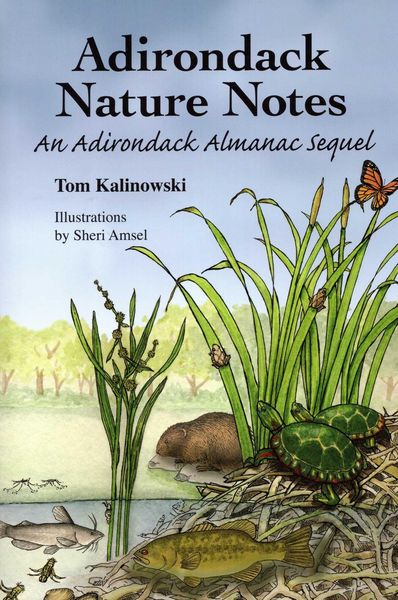 Produktbild: Adirondack Nature Notes