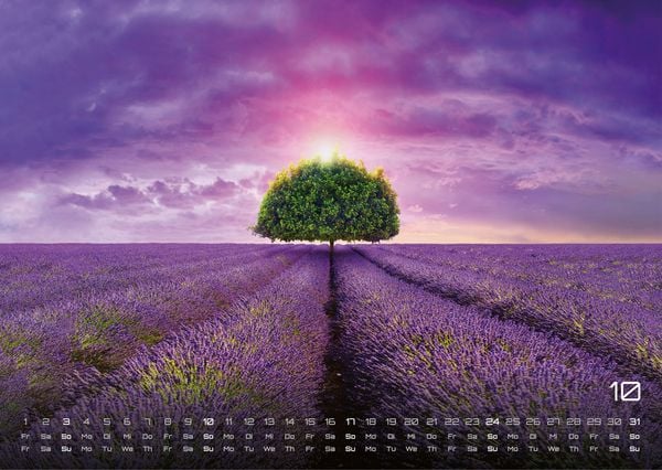 Produktbild: Provence - ein besonderes St&uuml;ck Frankreich - 2027 - Kalender DIN A3