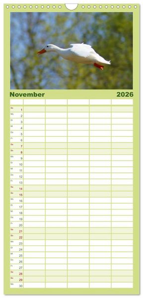 Produktbild: Familienplaner 2026 - Duck Power mit 5 Spalten (Wandkalender, 21 x 45 cm) CALVENDO