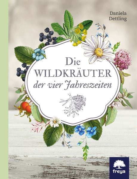 Produktbild: Die Wildkräuter der vier Jahreszeiten
