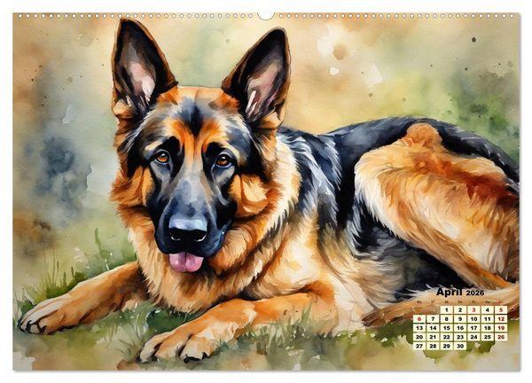 Produktbild: Deutsche Sch&auml;ferhunde - Klassiker rund um den Globus (hochwertiger Premium Wandkalender 2026 DIN A2 quer), Kunstdruck in Hochglanz
