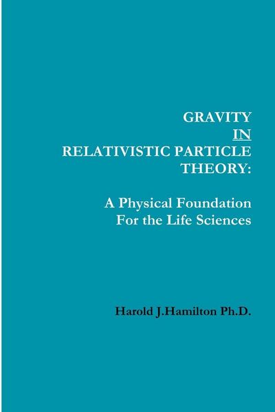 Produktbild: Gravity IN Relativistic Particle Theory