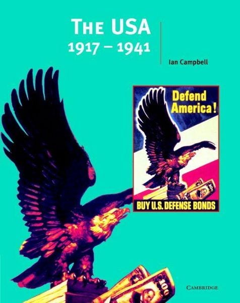 Produktbild: The USA 1917-1941