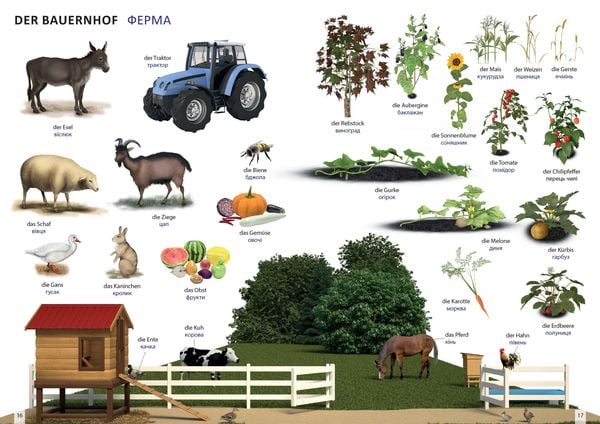 Produktbild: Bildw&ouml;rterbuch f&uuml;r Kinder und Eltern Ukrainisch-Deutsch