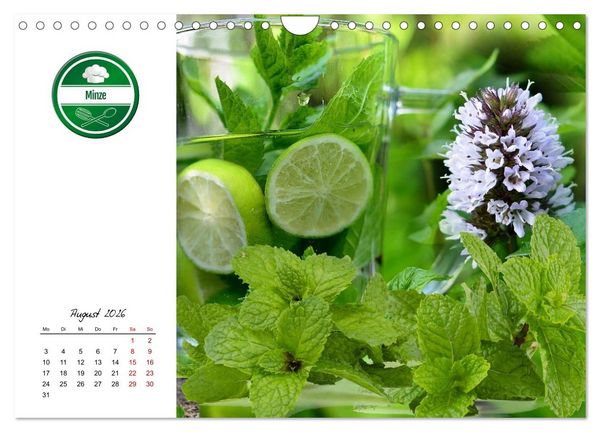 Produktbild: K&uuml;chenkr&auml;uter f&uuml;r jeden Geschmack (Wandkalender 2026 DIN A4 quer), CALVENDO Monatskalender