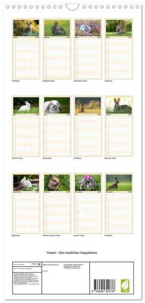 Produktbild: Familienplaner 2027 - Hasen - Die niedlichen Hoppeltiere. mit 5 Spalten (Wandkalender, 21 x 45 cm) CALVENDO