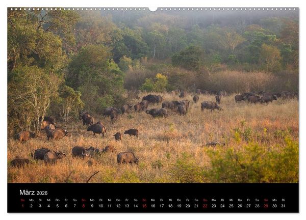 Produktbild: Wundersch&ouml;nes S&uuml;dafrika (hochwertiger Premium Wandkalender 2026 DIN A2 quer), Kunstdruck in Hochglanz