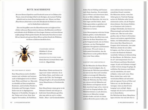 Produktbild: Unsere Wildbienen