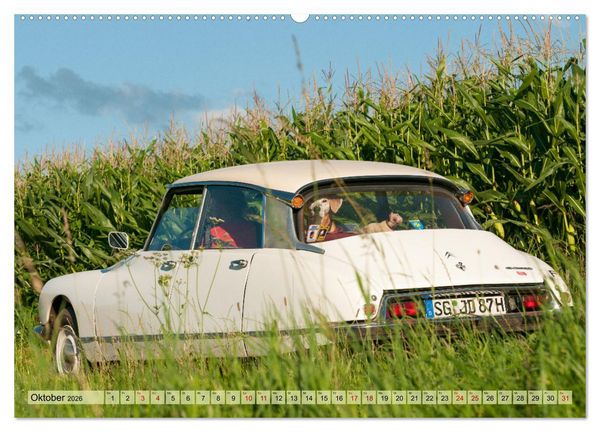 Produktbild: Franz&ouml;sische Klassiker - 2CV und D Modell Oldtimer (hochwertiger Premium Wandkalender 2026 DIN A2 quer), Kunstdruck in Hochglanz