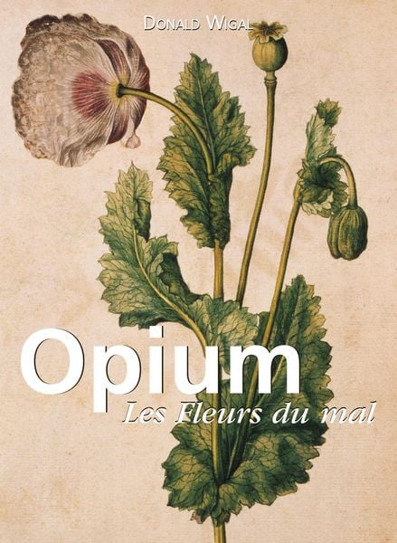 Produktbild: Opium. Les Fleurs du mal