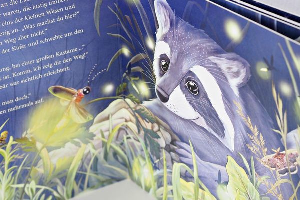 Produktbild: Schlaf gut, kleiner Waschb&auml;r &ndash; ein Bilderbuch f&uuml;r Kinder ab 2 Jahren