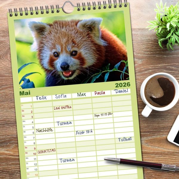Produktbild: Familienplaner 2026 - Kleiner Panda mit 5 Spalten (Wandkalender, 21 x 45 cm) CALVENDO