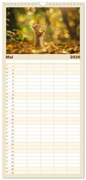 Produktbild: Familienplaner 2026 - Lustige Eichh&ouml;rnchen mit 5 Spalten (Wandkalender, 21 x 45 cm) CALVENDO
