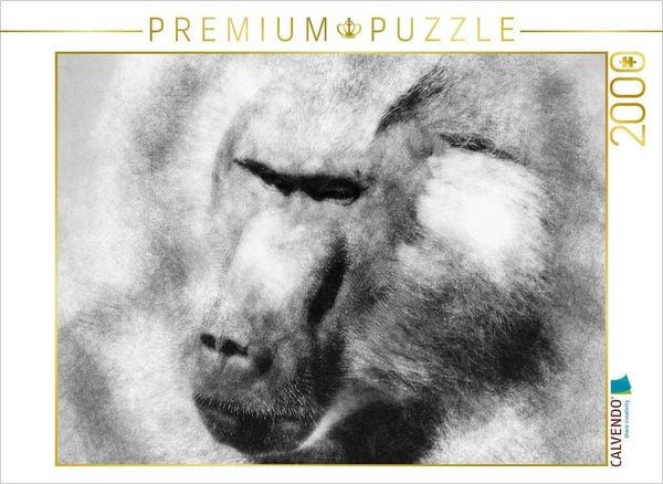 CALVENDO Puzzle Der Pavian | 2000 Teile Lege-Größe 90 × 67 cm Foto-Puzzle für glückliche Stunden