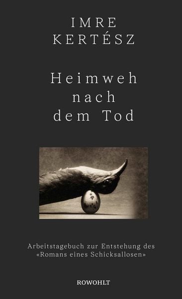 Produktbild: Heimweh nach dem Tod