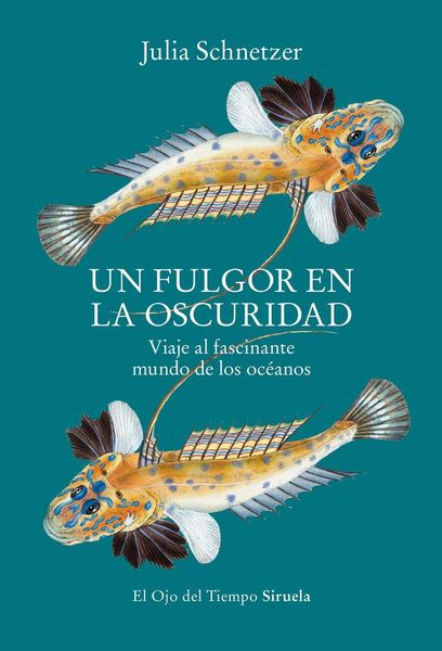 Produktbild: Un fulgor en la oscuridad