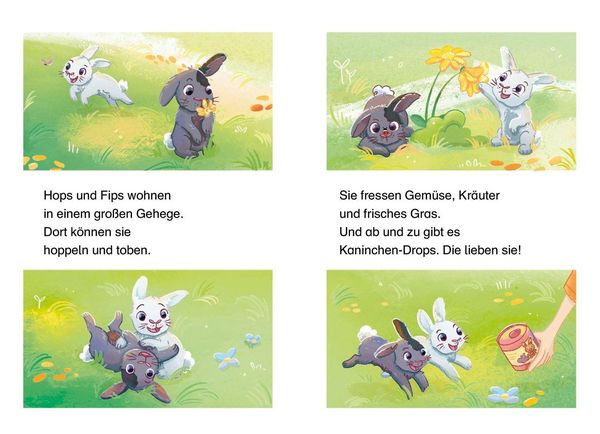 Produktbild: Mein supers&uuml;&szlig;es Haustier. Hops und Fips rei&szlig;en aus