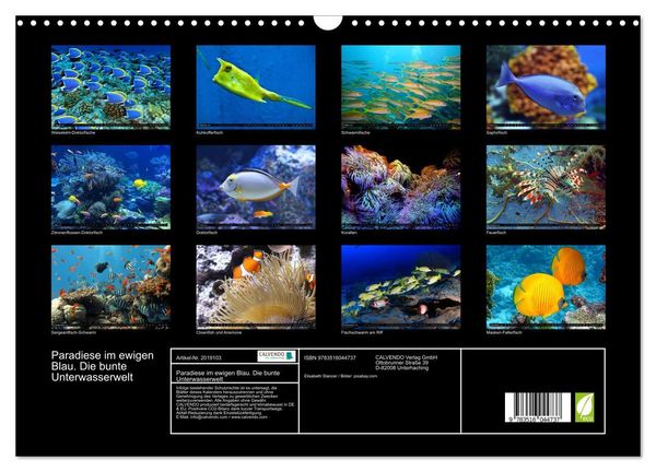 Produktbild: Paradiese im ewigen Blau. Die bunte Unterwasserwelt (Wandkalender 2026 DIN A3 quer), CALVENDO Monatskalender