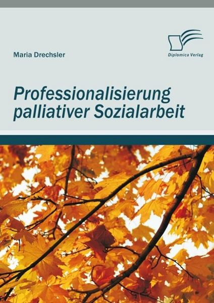 Produktbild: Professionalisierung palliativer Sozialarbeit