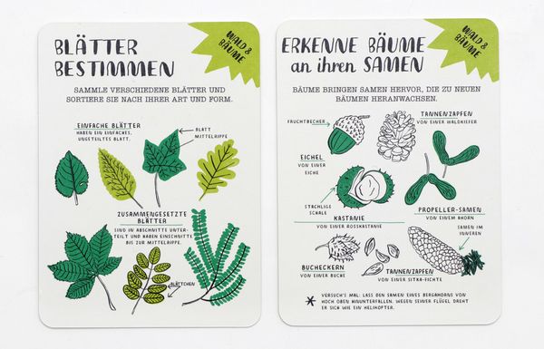 Produktbild: Hallo Natur Activity-Karten