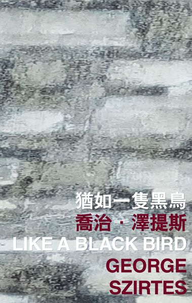 Produktbild: Like a Black Bird