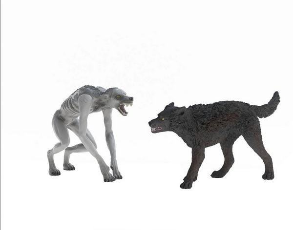 Produktbild: schleich&reg; 14906 Harry Potter Werwolf vs. Animagus