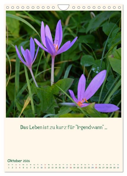 Produktbild: Mit Blumen durchs Jahr (Wandkalender 2026 DIN A4 hoch), CALVENDO Monatskalender