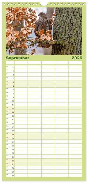 Produktbild: Familienplaner 2026 - Europas Greifv&ouml;gel und Eulen mit 5 Spalten (Wandkalender, 21 x 45 cm) CALVENDO