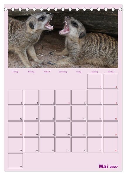 Produktbild: Erdm&auml;nnchen / Terminplaner (Tischkalender 2027 DIN A5 hoch), CALVENDO Monatskalender