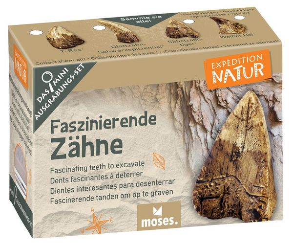 Produktbild: Expedition Natur Mini-Ausgrabungssets